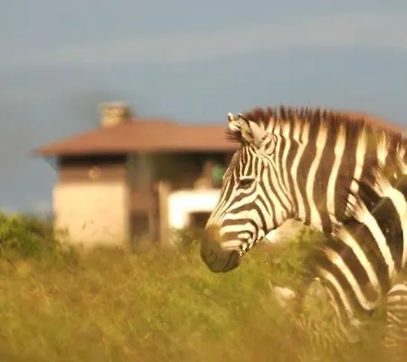 Ol Pejeta Holiday Villas Nanyuki Exterior photo